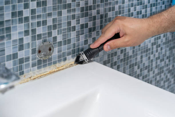 Best Mold Remediation for Schools in Lake Jackson, TX
